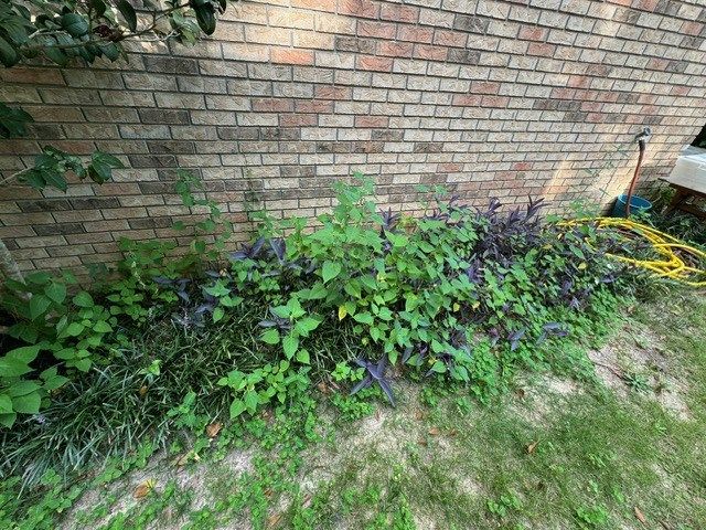 627 Highway 131, Eufaula, AL 36027