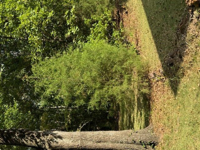 627 Highway 131, Eufaula, AL 36027