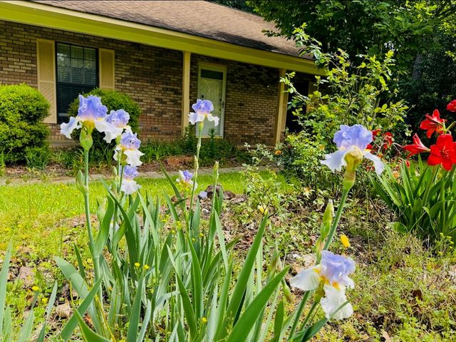 627 Highway 131, Eufaula, AL 36027