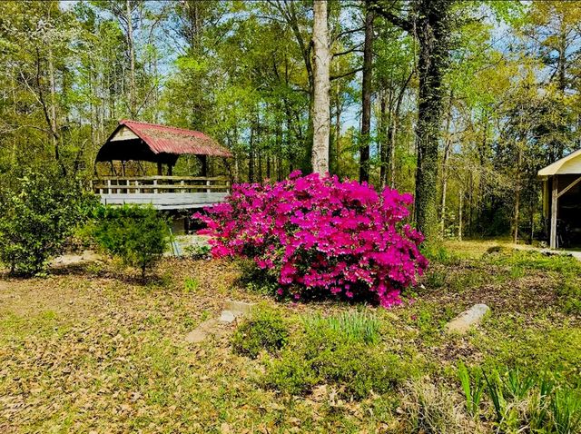 627 Highway 131, Eufaula, AL 36027