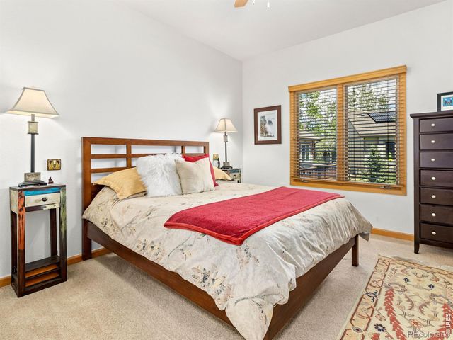 732 Par Lane, Estes Park, CO 80517