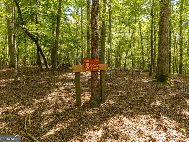 46 Gooseberry Trail 0, Blue Ridge, GA 30513