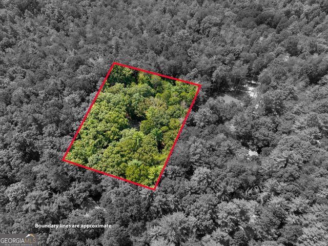 46 Gooseberry Trail 0, Blue Ridge, GA 30513
