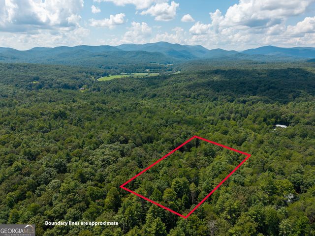 46 Gooseberry Trail 0, Blue Ridge, GA 30513