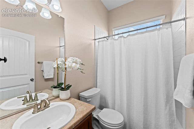 6167 Leon Young Drive, Colorado Springs, CO 80924