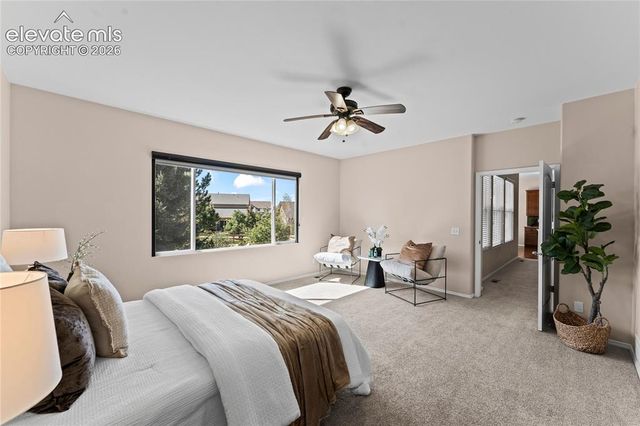 6167 Leon Young Drive, Colorado Springs, CO 80924