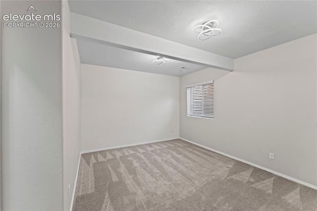 6167 Leon Young Drive, Colorado Springs, CO 80924