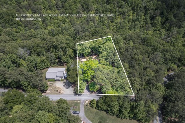 40 Caledonia Drive, Blairsville, GA 30512