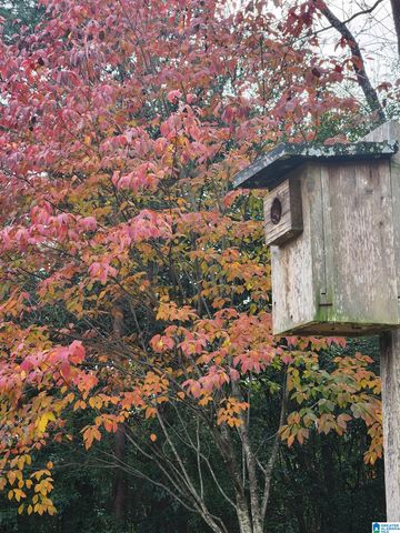 105 ODUM CREST CIRCLE, Hoover, AL 35226