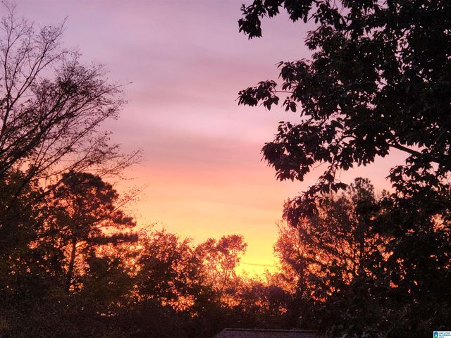 105 ODUM CREST CIRCLE, Hoover, AL 35226