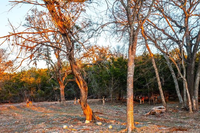 327 Waring Welfare Road, Boerne, TX 78006