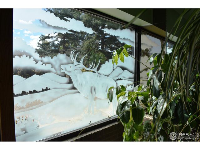 2801 Farview Dr, Fort Collins, CO 80524