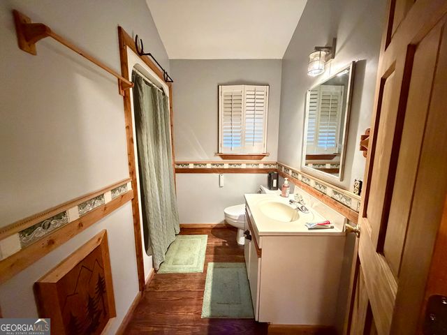 881 Mule Branch Road, Helen, GA 30545