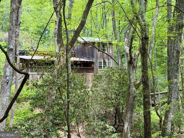 881 Mule Branch Road, Helen, GA 30545
