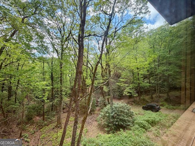881 Mule Branch Road, Helen, GA 30545
