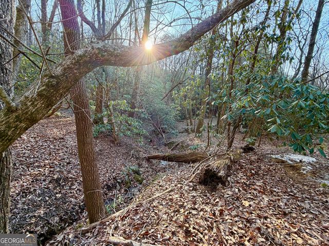 881 Mule Branch Road, Helen, GA 30545
