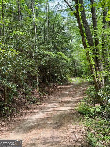 881 Mule Branch Road, Helen, GA 30545