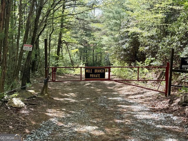 881 Mule Branch Road, Helen, GA 30545