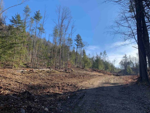 Map3 Lot9-1 Scotland Road, Winchester, NH 03470