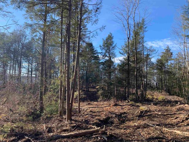 Map3 Lot9-1 Scotland Road, Winchester, NH 03470