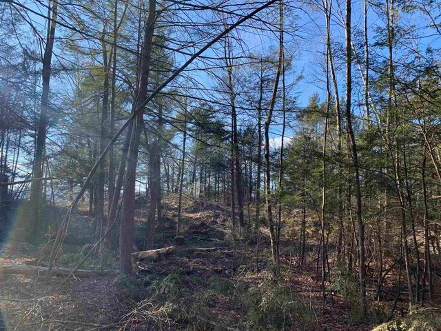 Map3 Lot9-1 Scotland Road, Winchester, NH 03470