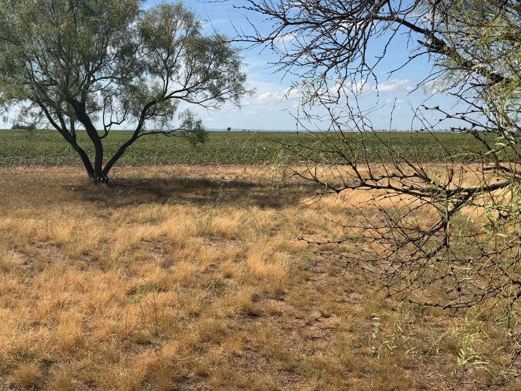 Image 14 of property listing at 17279 Bledsoe Road, San Angelo, TX 76905
