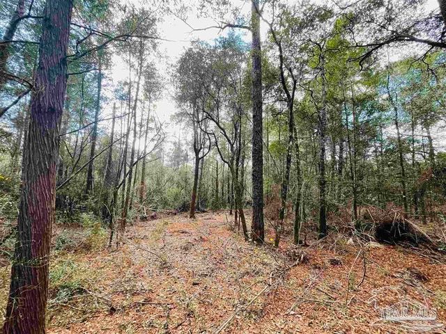 00 (Lot A & B) Edith Ave, Milton, FL 32570