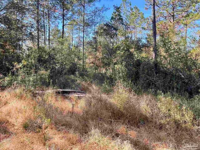 00 (Lot A & B) Edith Ave, Milton, FL 32570