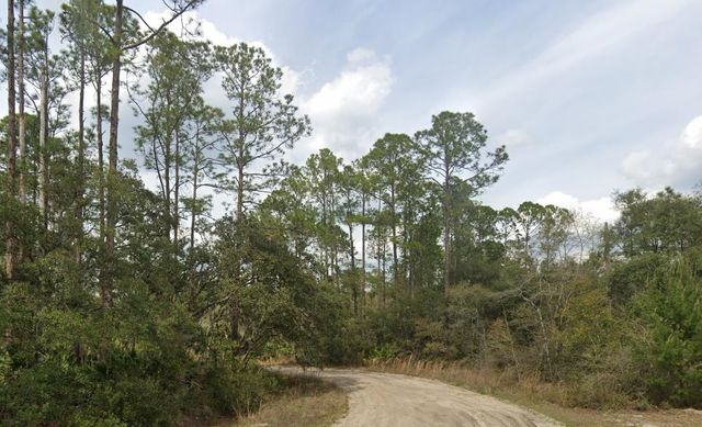 00 Childs Rd 16, Interlachen, FL 32148