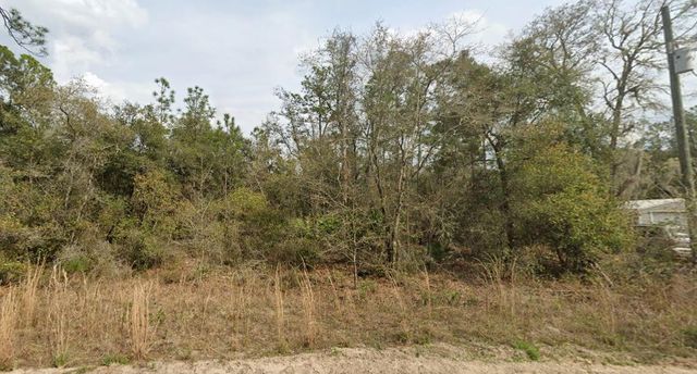 00 Childs Rd 16, Interlachen, FL 32148