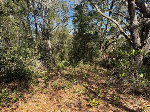 6704 IKE SMITH ROAD, Plant City, FL 33565