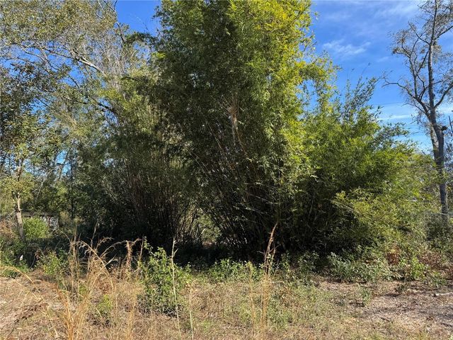 6704 IKE SMITH ROAD, Plant City, FL 33565