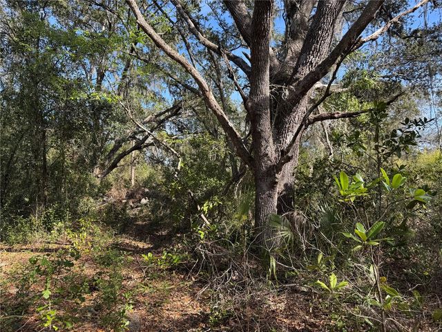 6704 IKE SMITH ROAD, Plant City, FL 33565