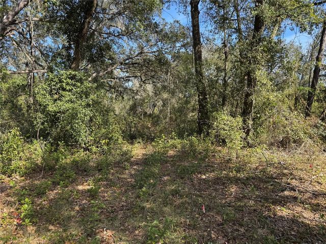 6704 IKE SMITH ROAD, Plant City, FL 33565