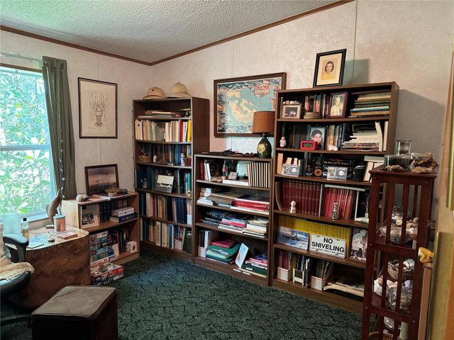 6704 IKE SMITH ROAD, Plant City, FL 33565