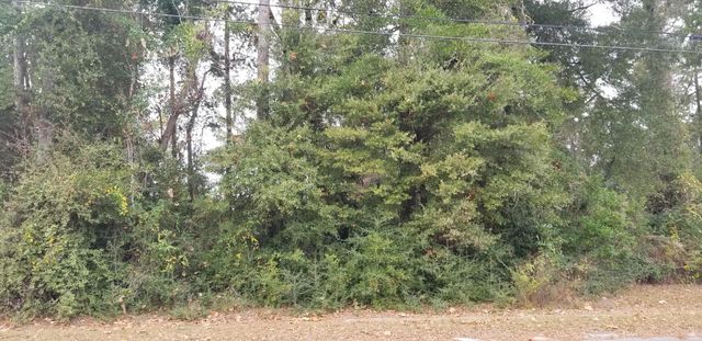 00000 N Lemacks Street, Walterboro, SC 29488