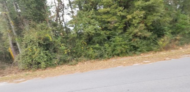 00000 N Lemacks Street, Walterboro, SC 29488