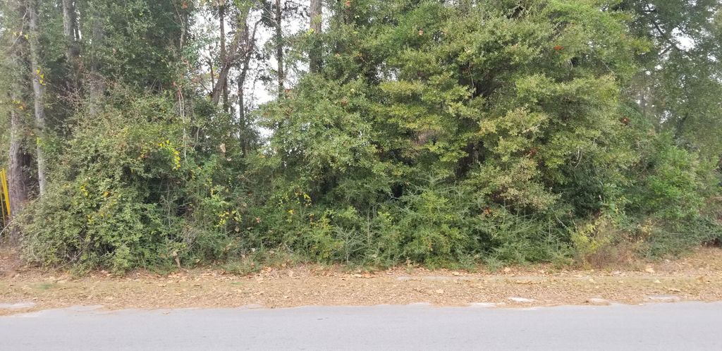 00000 N Lemacks Street, Walterboro, SC 29488
