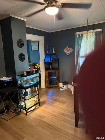 1707 E Moffat Avenue, Springfield, IL 62702