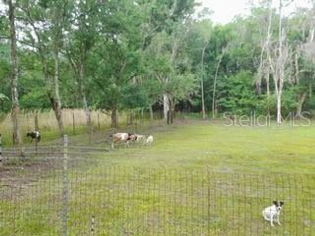 10034 BURTON STREET, New Port Richey, FL 34654