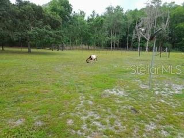 10034 BURTON STREET, New Port Richey, FL 34654