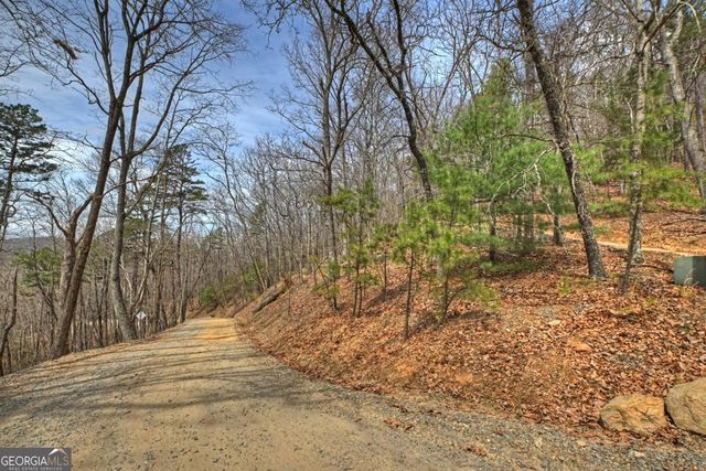 LOT 29 Forest Drive, Morganton, GA 30560