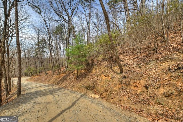 LOT 29 Forest Drive, Morganton, GA 30560