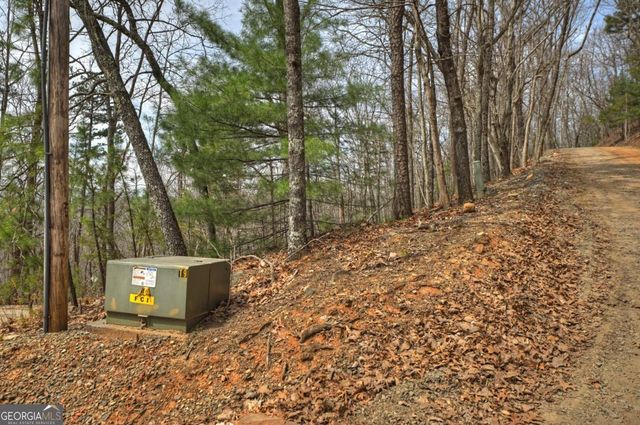 LOT 29 Forest Drive, Morganton, GA 30560