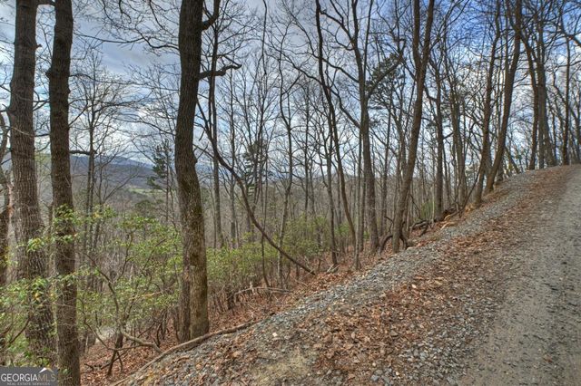 LOT 29 Forest Drive, Morganton, GA 30560