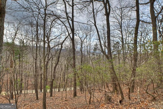 LOT 29 Forest Drive, Morganton, GA 30560