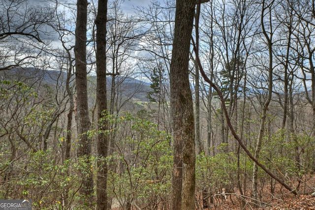 LOT 29 Forest Drive, Morganton, GA 30560