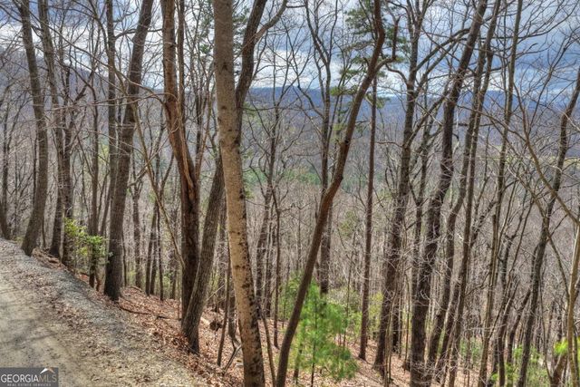 LOT 29 Forest Drive, Morganton, GA 30560