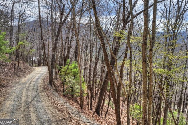LOT 29 Forest Drive, Morganton, GA 30560