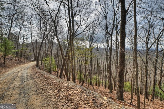 LOT 29 Forest Drive, Morganton, GA 30560